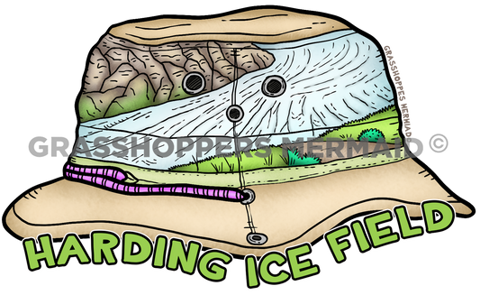 Harding Ice Field Hat