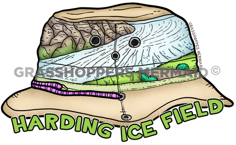 Harding Ice Field Hat