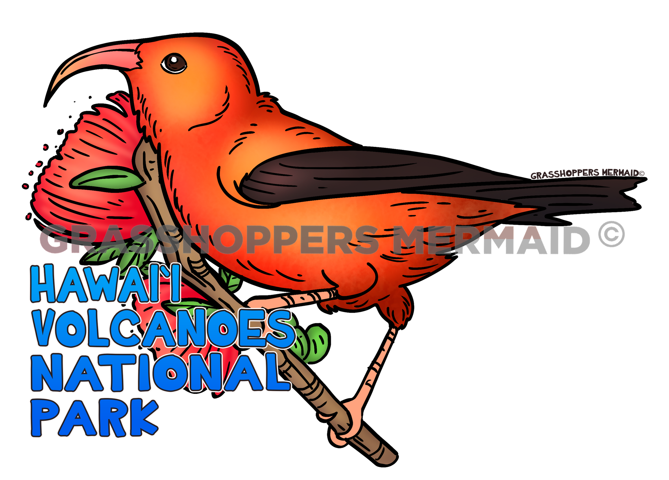 Hawaiian Honey Creeper Bird