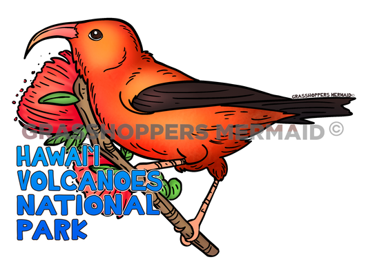 Hawaiian Honey Creeper Bird