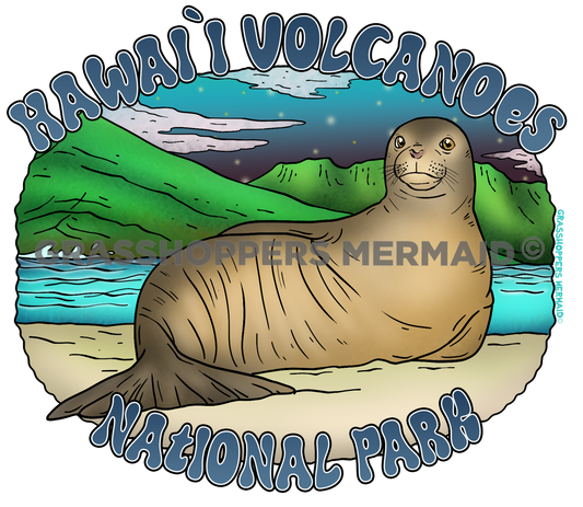 Hawaiian Monk Seal Lounging