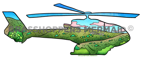 Helicopter Land & Sky Scene