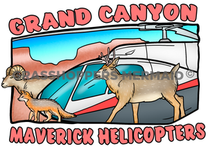 Helicopter & Desert Animals