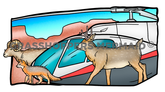 Helicopter & Desert Animals