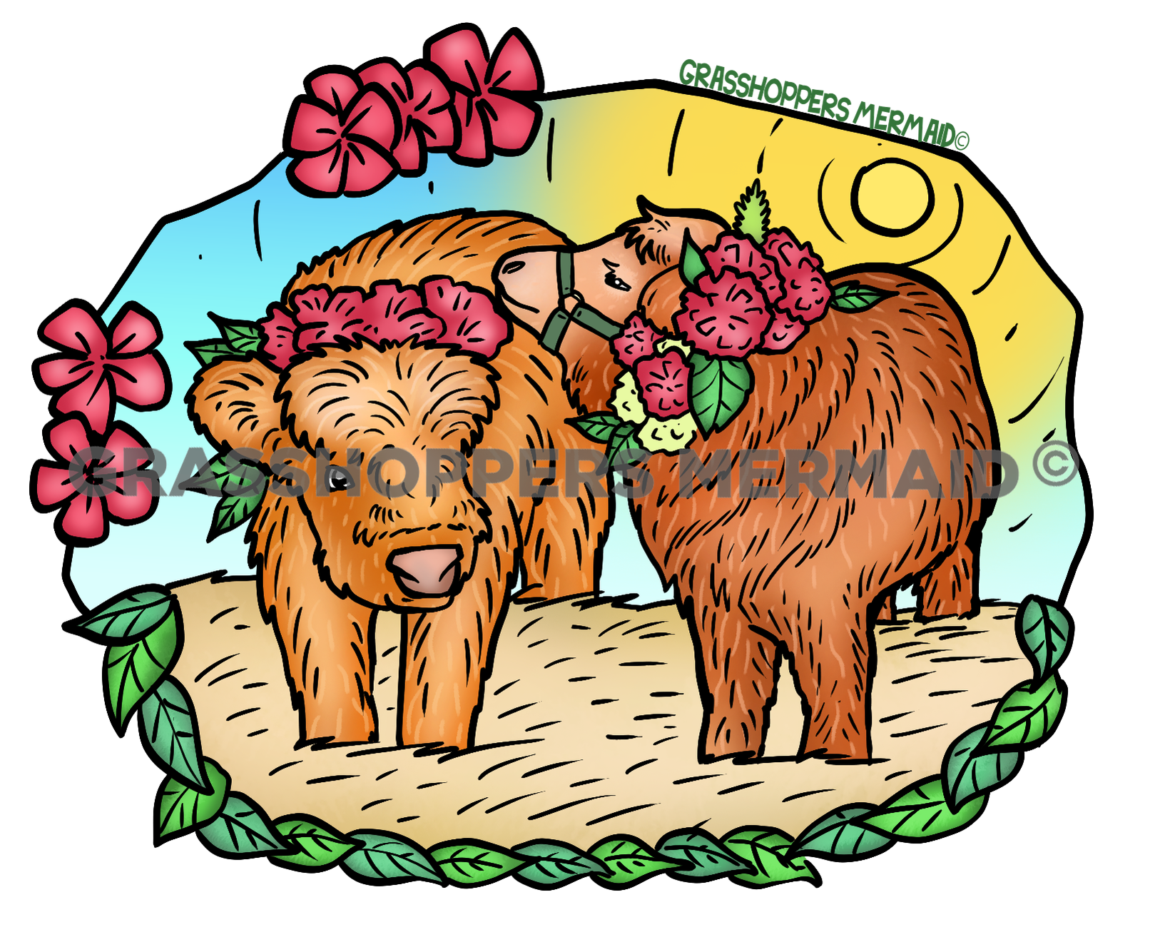 Highland Cow Photoshoot