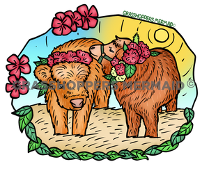 Highland Cow Photoshoot