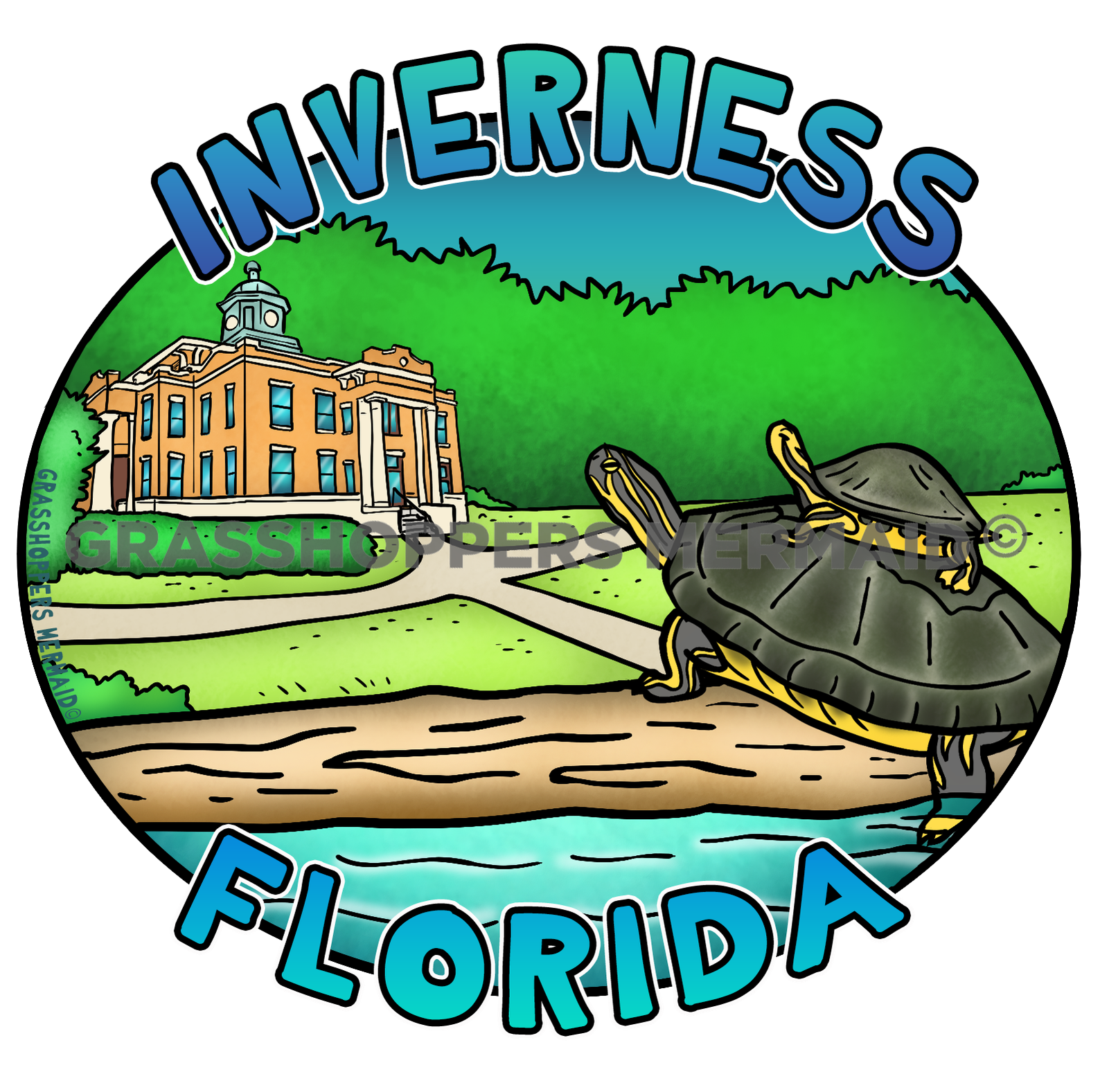 Historical River Turtle