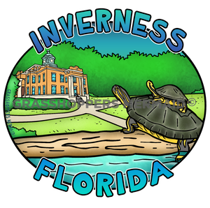 Historical River Turtle