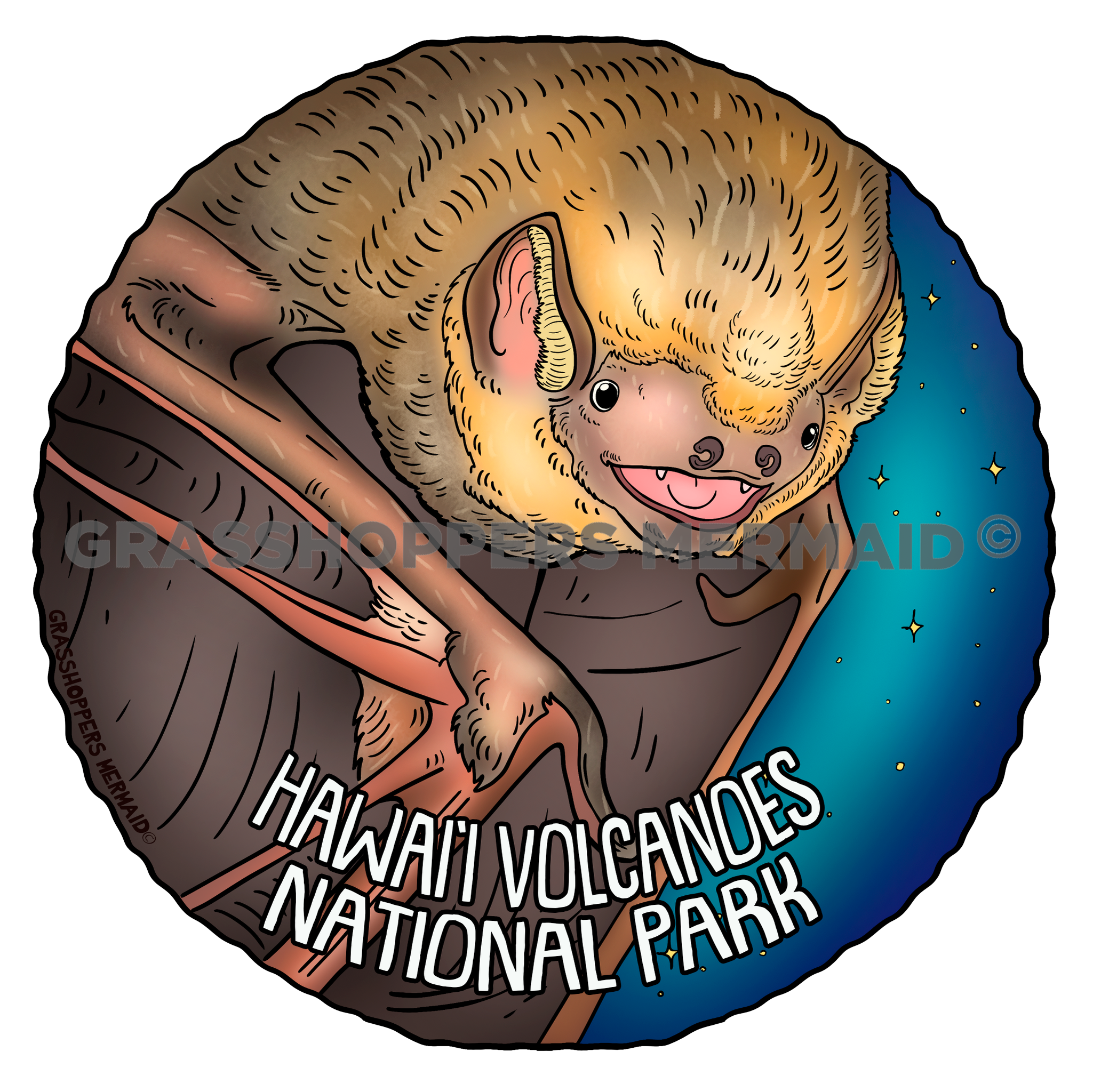 Hoary Bat