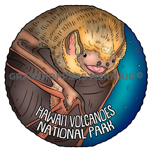 Hoary Bat
