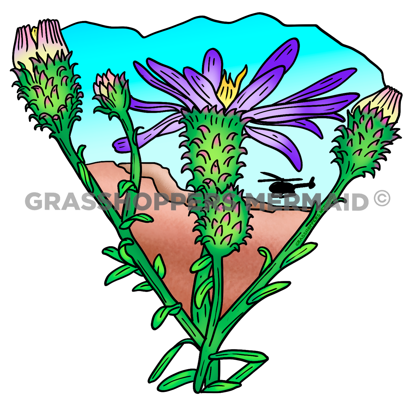 Hoary Tanzy Aster