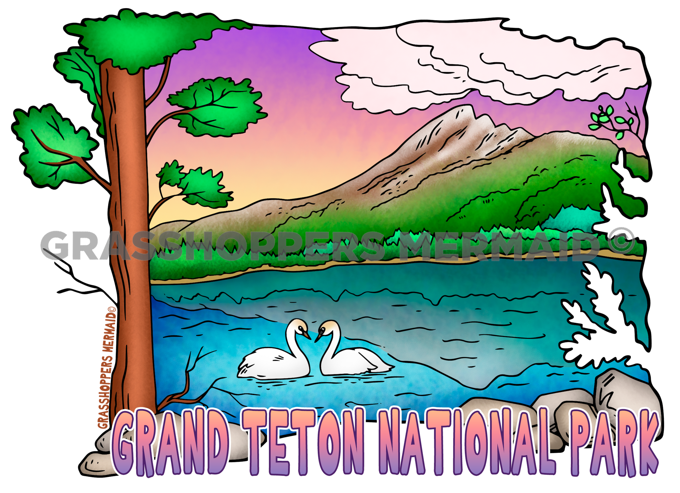 Holly Lake Swans