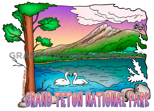 Holly Lake Swans