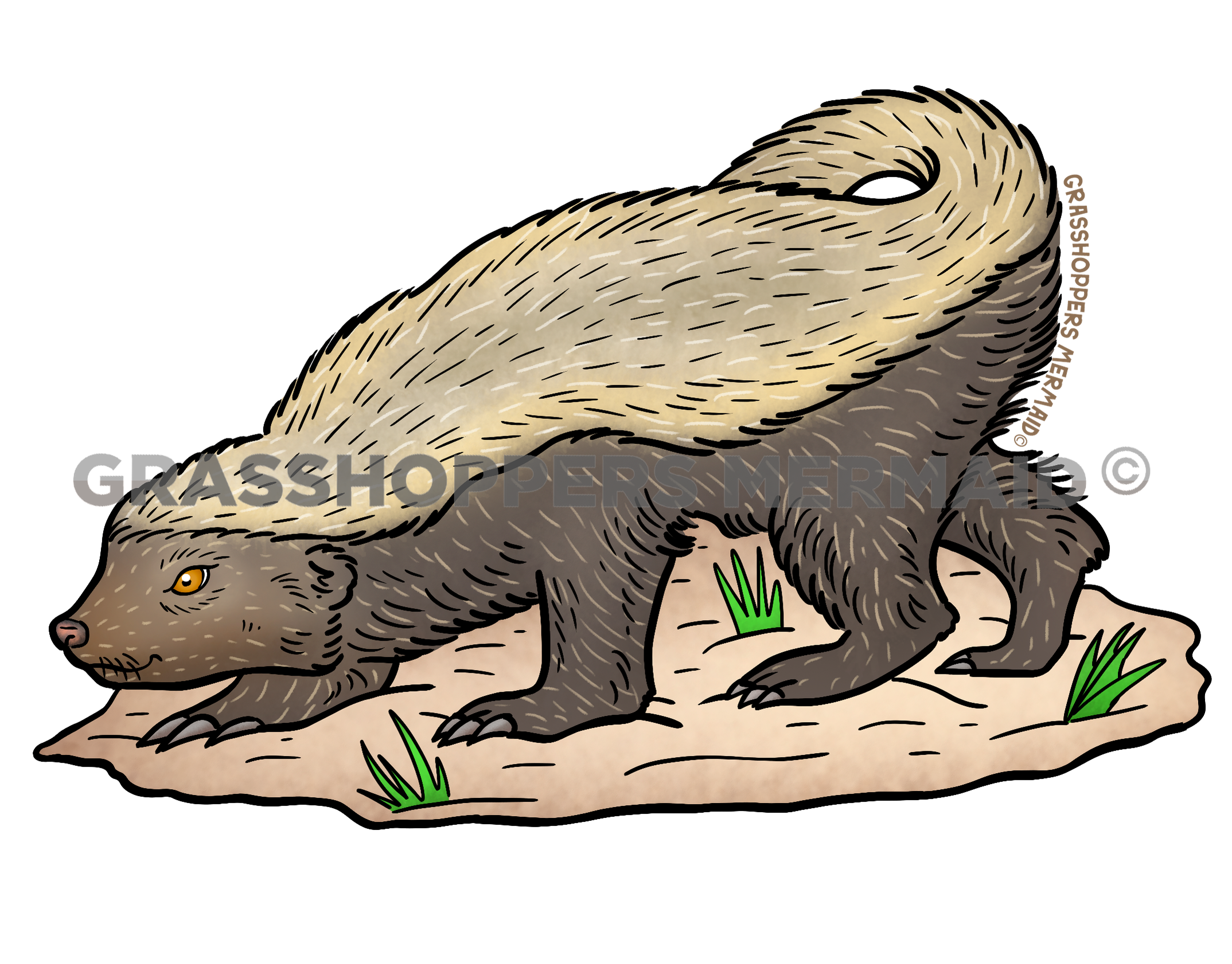 Honey Badger