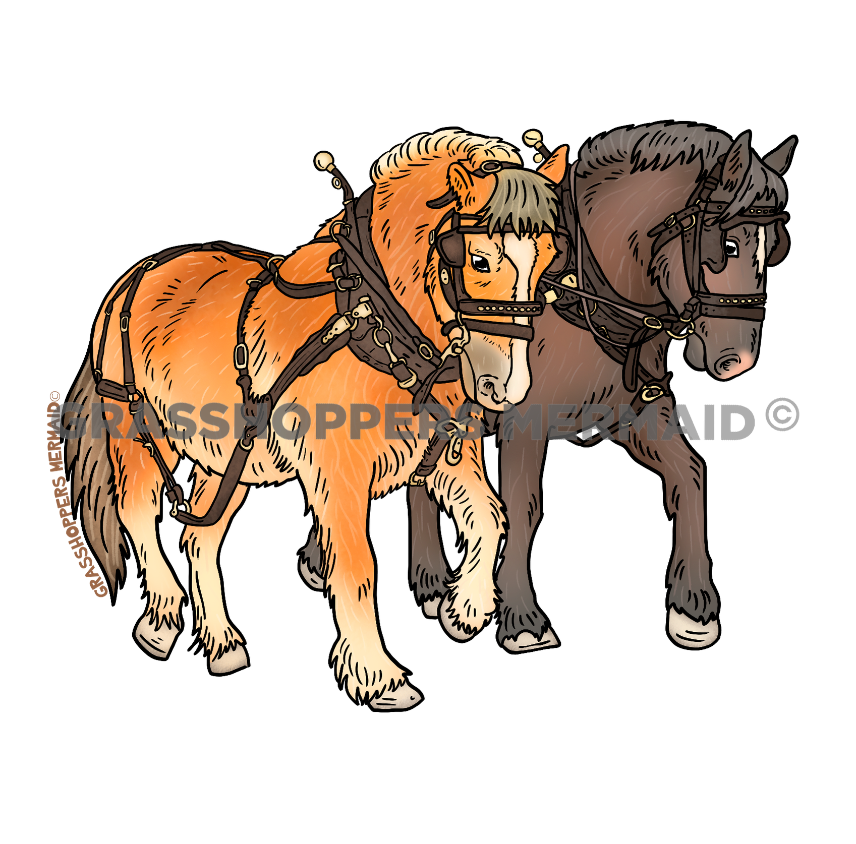 Horse Buddies