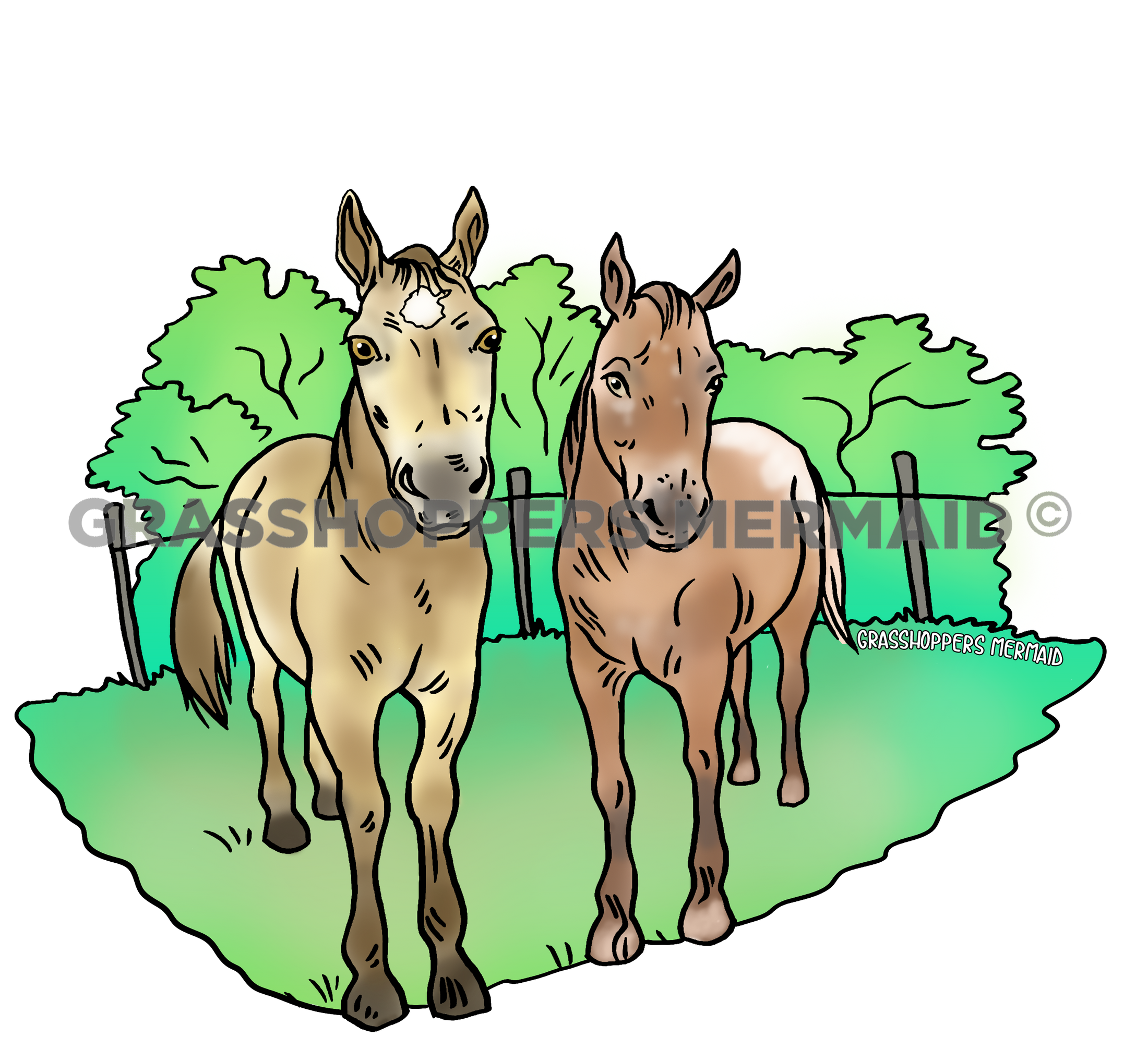 Horse Pasture