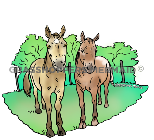 Horse Pasture