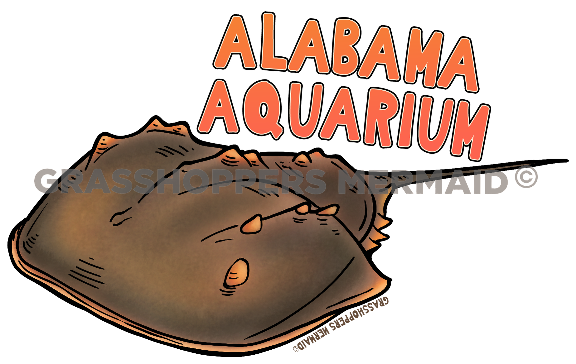 Horseshoe Crab Journey