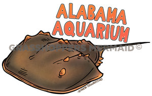Horseshoe Crab Journey