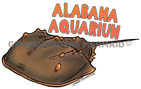 Horseshoe Crab Journey