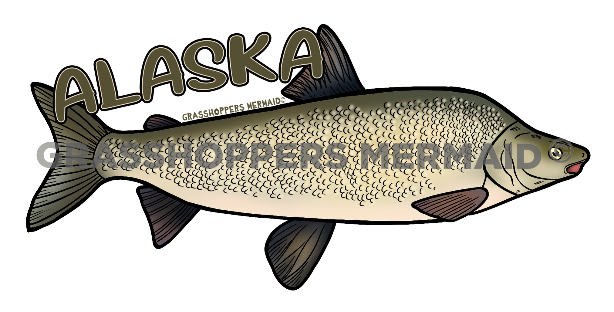 Humpback Whitefish