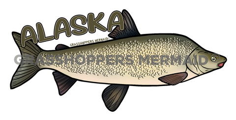 Humpback Whitefish