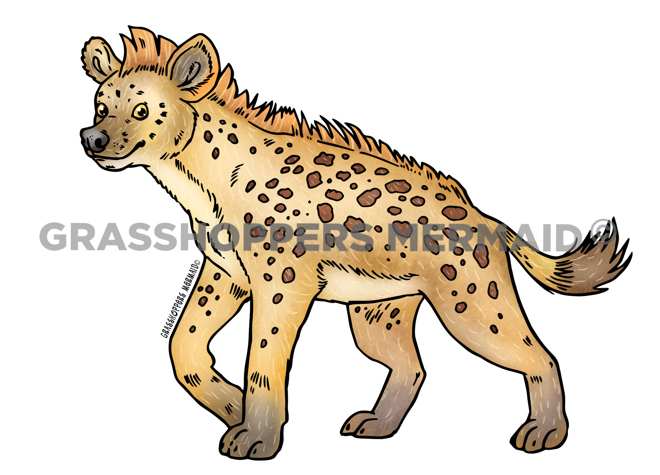 Hyena