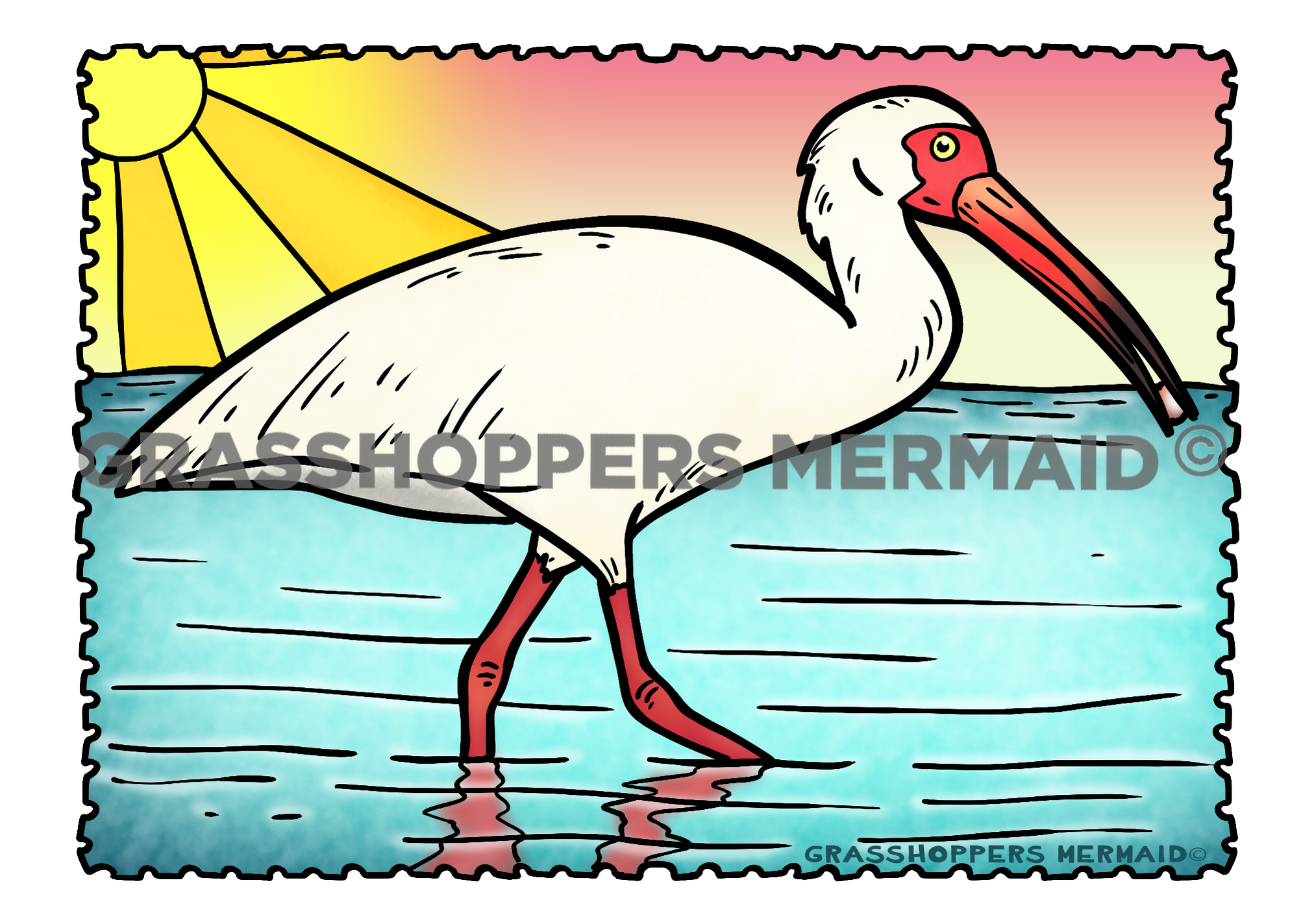 Ibis
