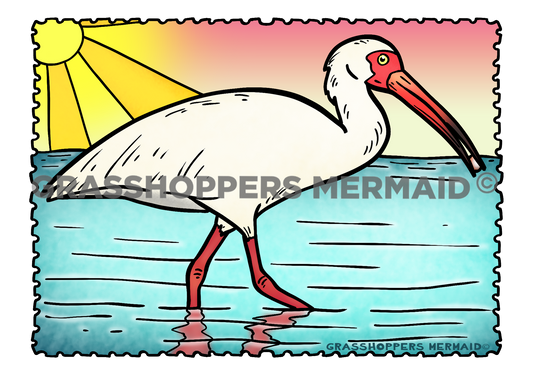 Ibis Sticker | Waterproof Vinyl Sticker & Laptop Decal | Weatherproof Art