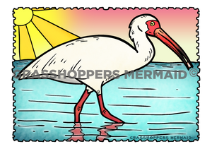 Ibis
