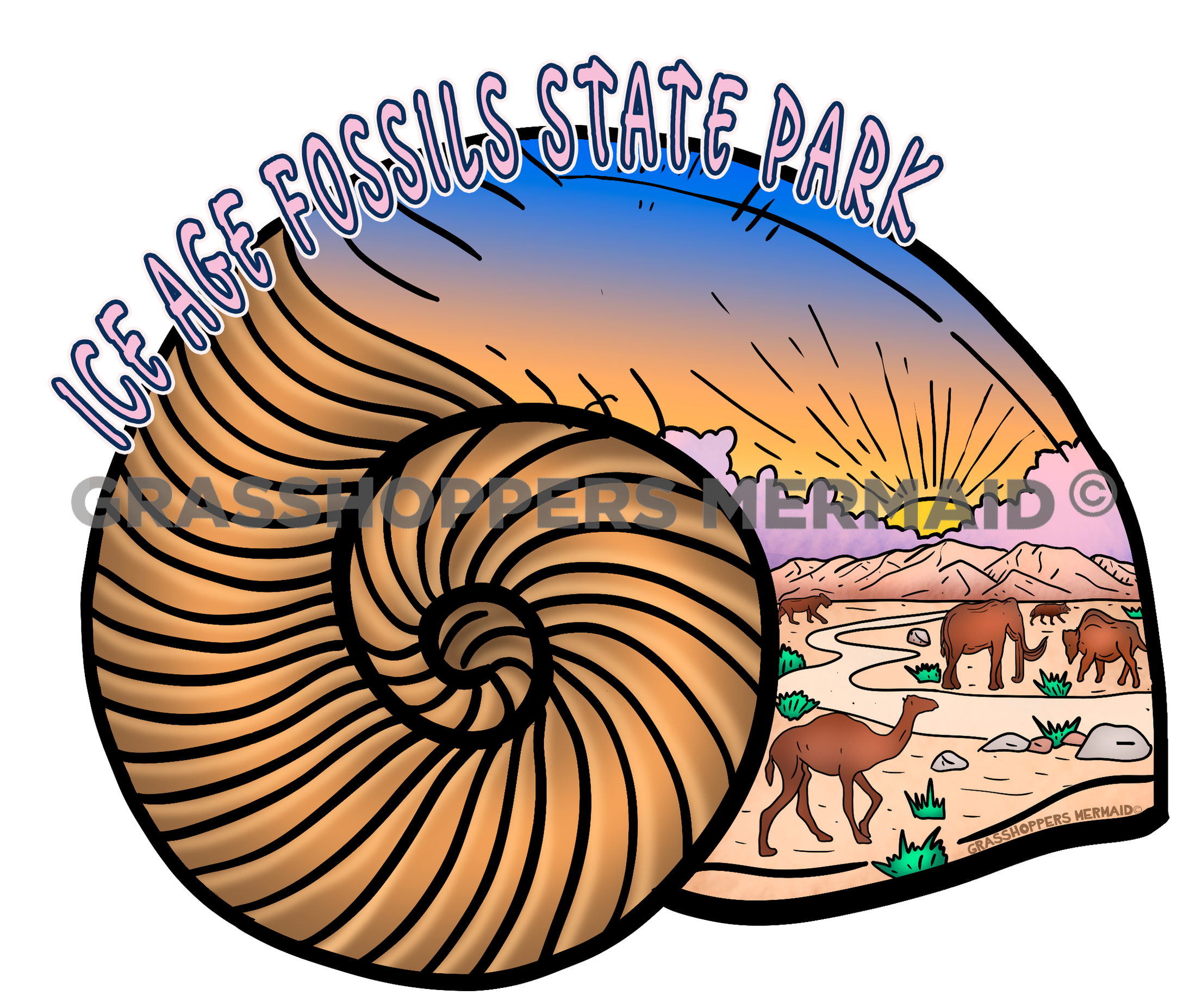 Ice Age Nautilus Shell