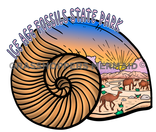 Ice Age Nautilus Shell