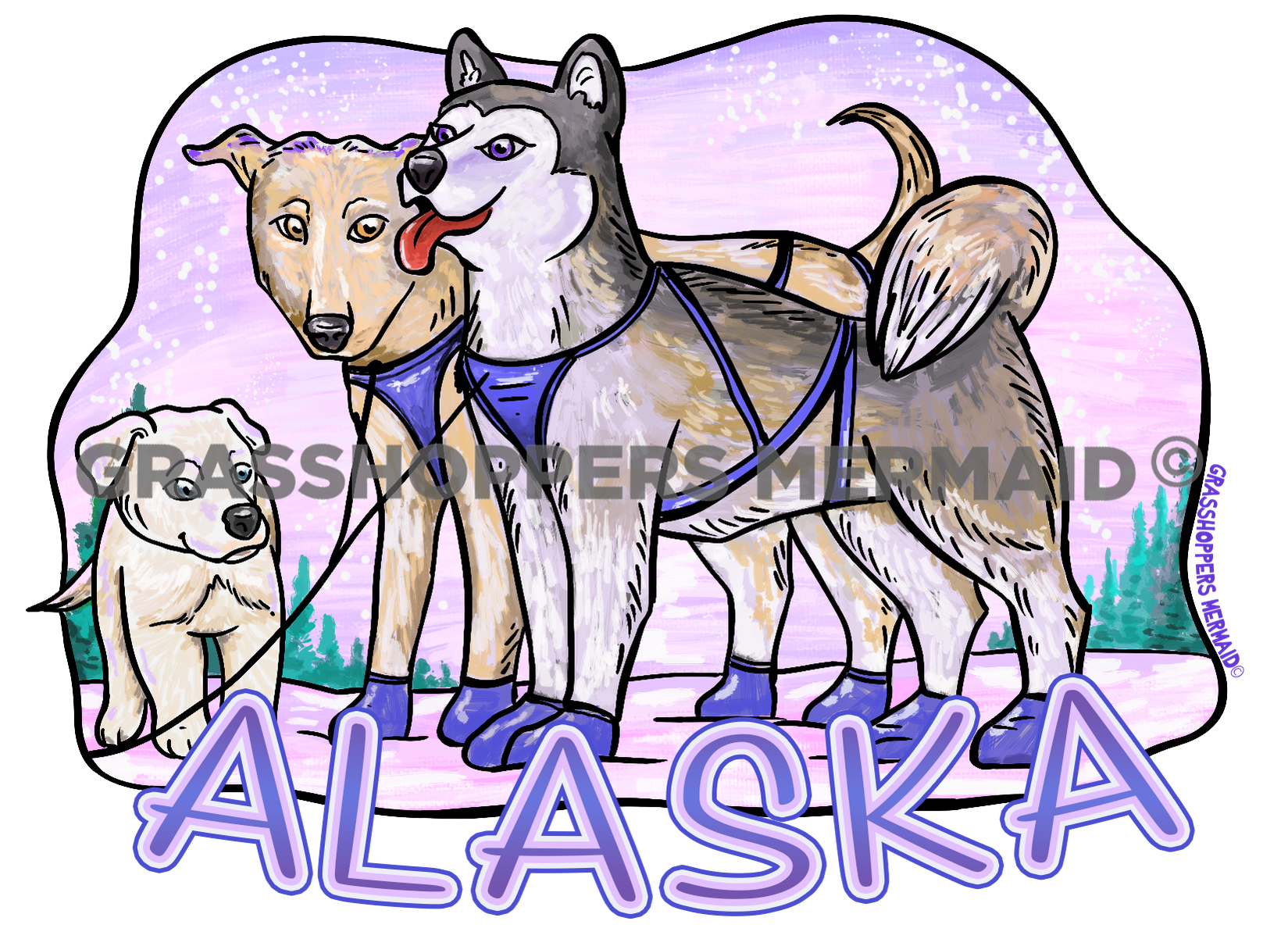 Iditarod's Newest Pup
