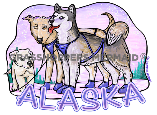 Iditarod's Newest Pup
