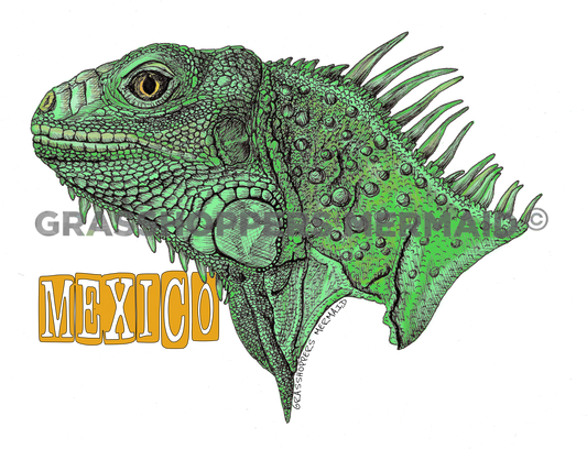 Iguana