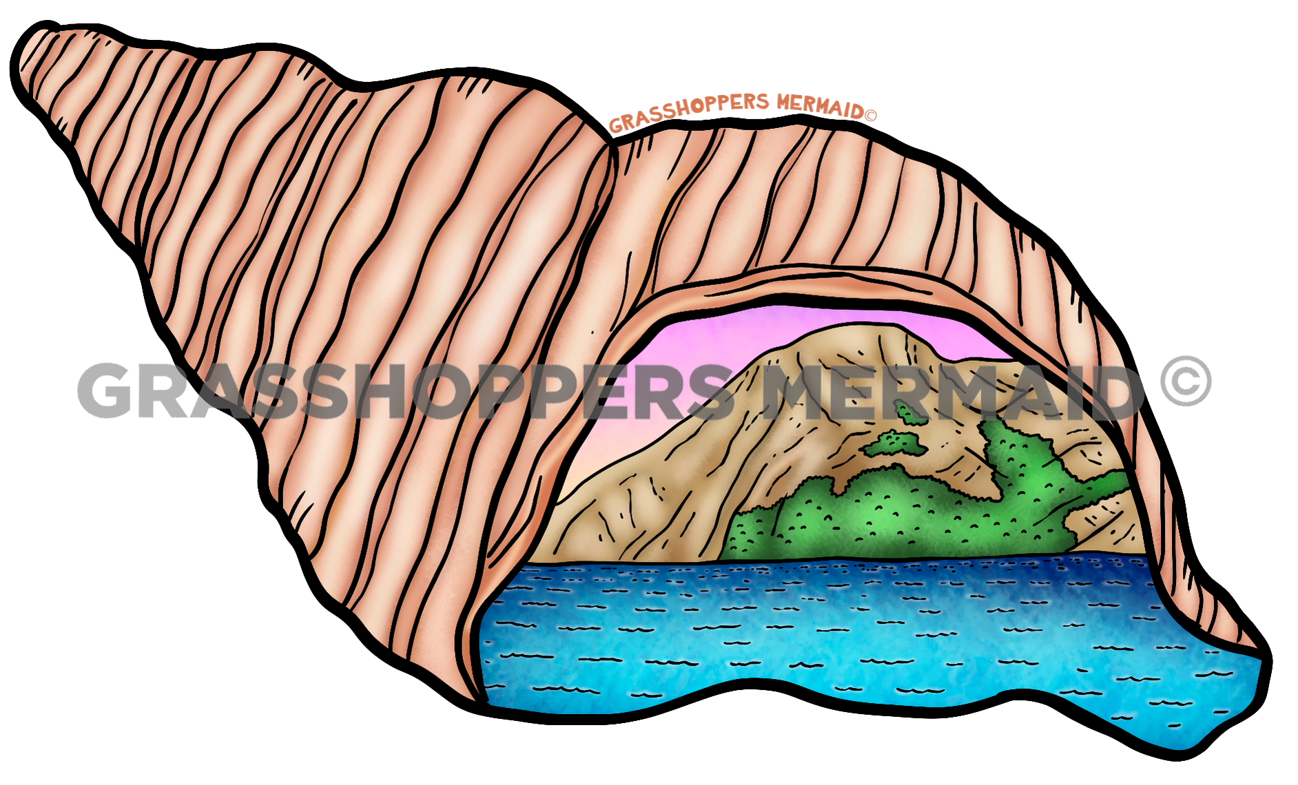 Island Seashell