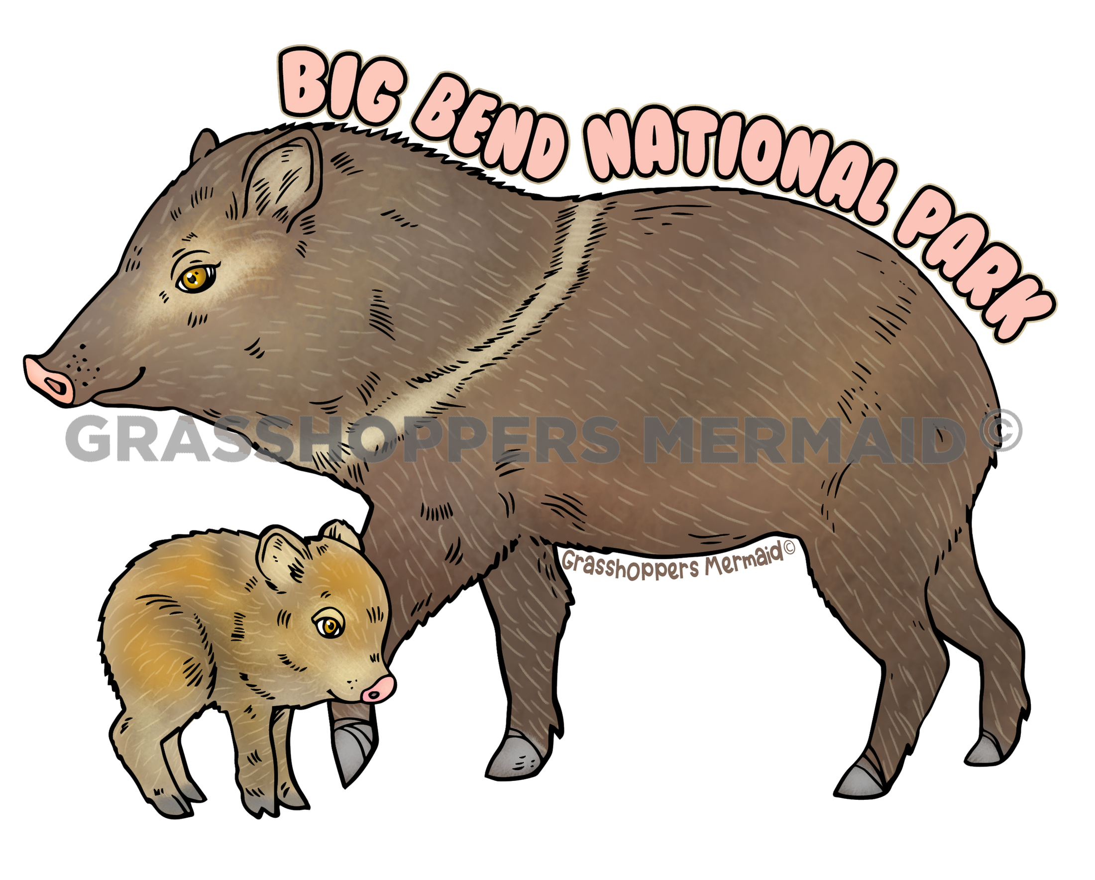 Javalina Family - Desert Wildlife Sticker