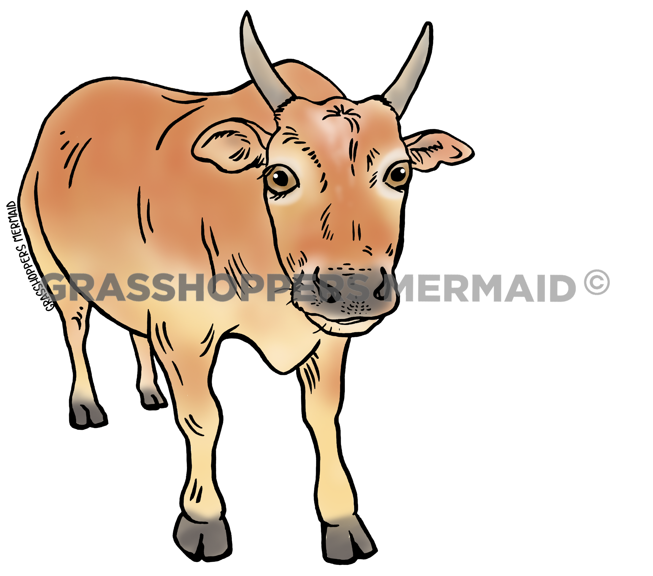 Jimmy the Cow