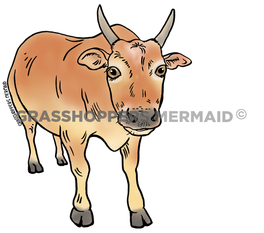 Jimmy the Cow