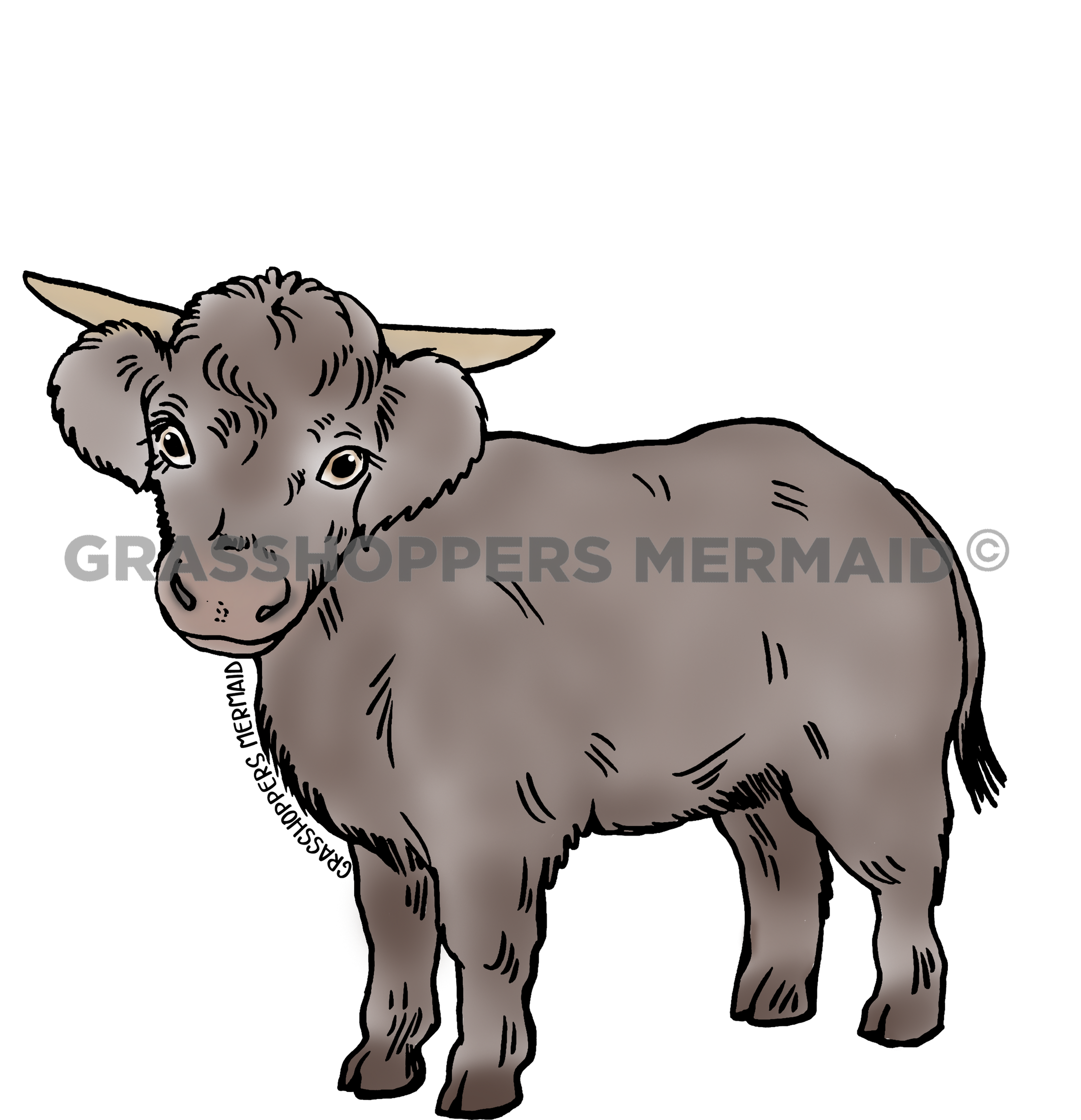 Junebug the Cow