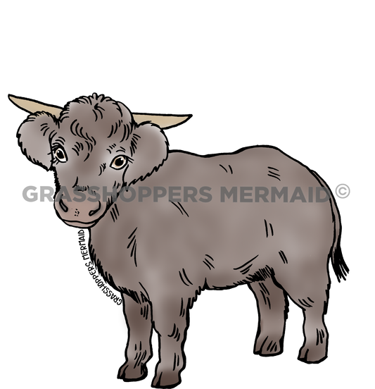 Junebug the Cow