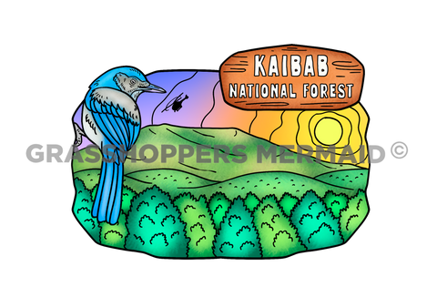 Kaibab National Forest