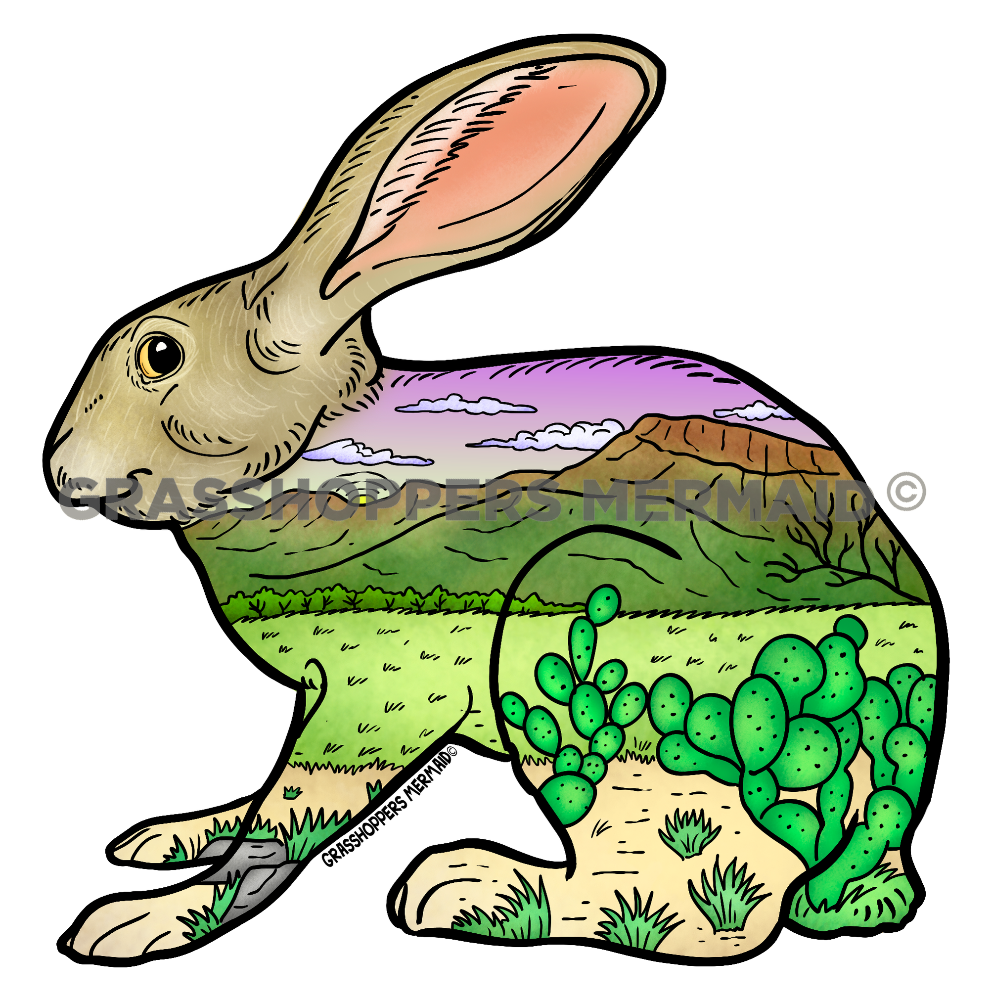 Kartchner Caverns Desert Rabbit
