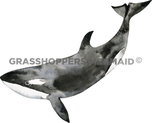 Watercolor Killer Whale