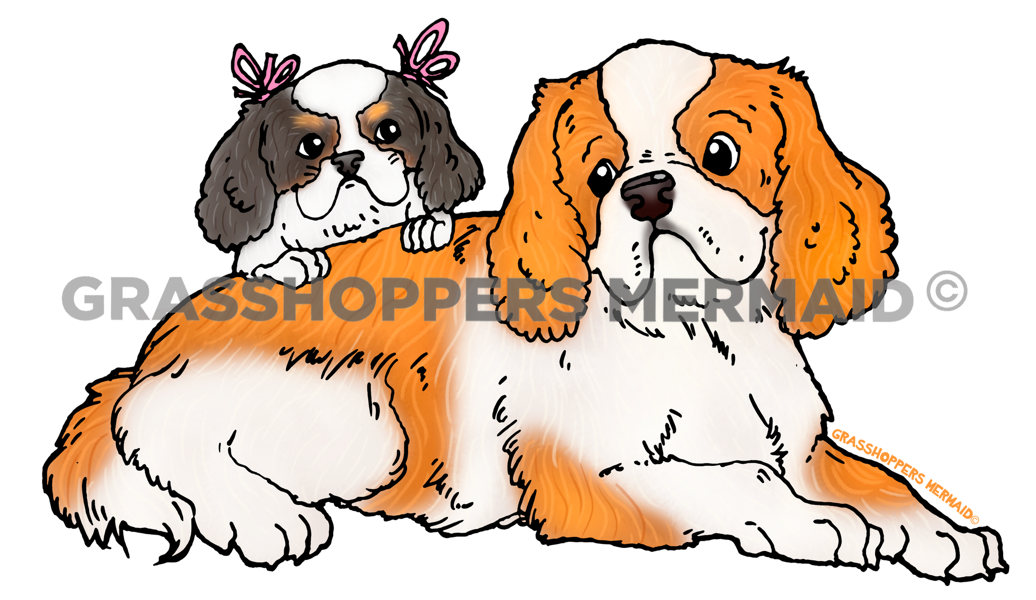 King Charles Spaniel