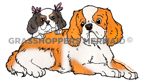 King Charles Spaniel