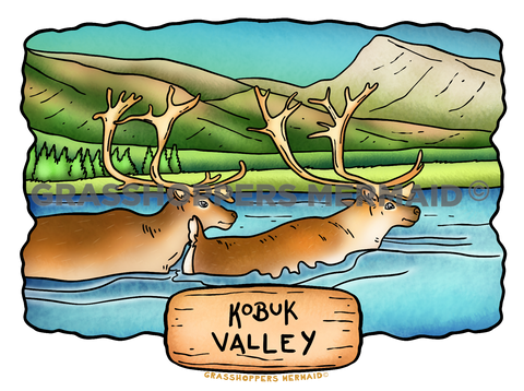 Kobuk Valley River