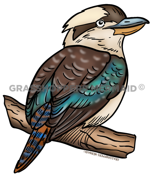 Kookaburra