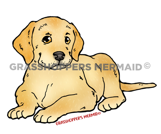Labrador Puppy