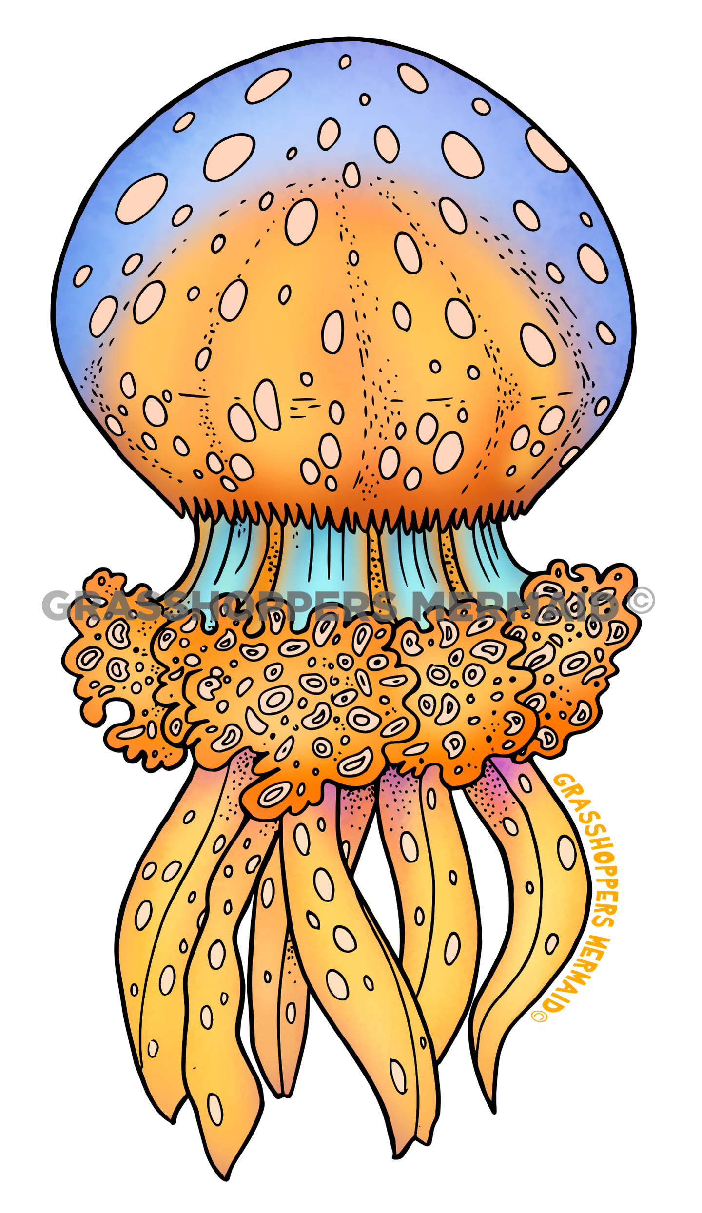 Lagoon Jelly
